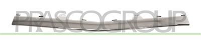 MOLDURA CENTRAL PARACHOQUES DELANTERO-CROMADA MOD. AMG