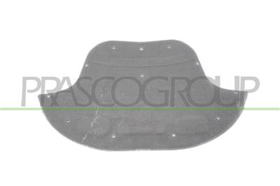 PANEL INSONORIZADO CAPO
