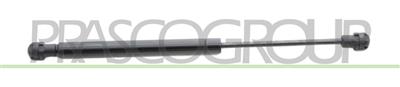 GASDRUCKFEDER HECKKLAPPE RECHTS/LINKS - 130 N - L 305 mm - H 115 mm - Ø 15 mm - Ø 6 mm