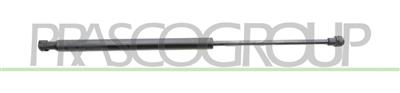 TAILGATE GAS SPRING RIGHT/LEFT - 90 N - L 445 mm - S 176 mm - Ø 18 mm - Ø 8 mm MOD. COUPE'