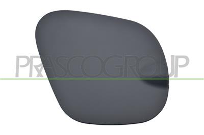FUEL TANK FLAP-WITH PRIMER
