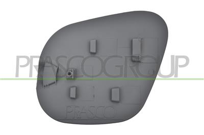 FUEL TANK FLAP-WITH PRIMER
