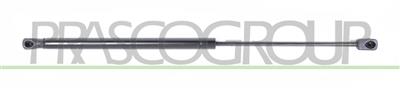 GASDRUCKFEDER HECKKLAPPE RECHTS UND LINKS-430 N-L 498 mm-H 205 mm-Ø 18 mm-Ø 8 mm
