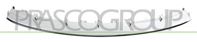 BANDEAU SPOILER ARRIERE CHROMEE