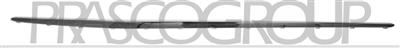 DOOR SILL COVER MOLDING LEFT-BLACK-GLOSSY MOD. AMG