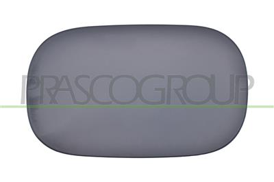 FUEL TANK FLAP-WITH PRIMER