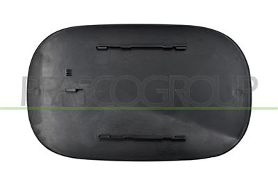 FUEL TANK FLAP-WITH PRIMER