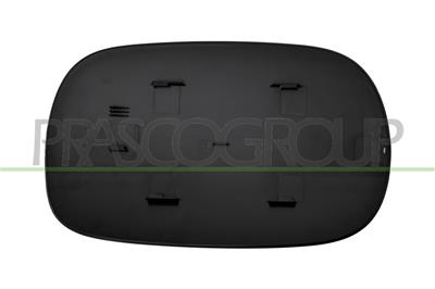 FUEL TANK FLAP