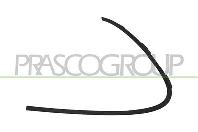 MOLDURA IZQUIERDA PARACHOQUES DELANTERO-NEGRA-GRANULADA