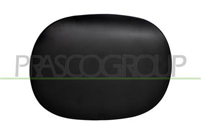 FUEL TANK FLAP