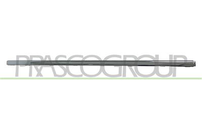 REAR BUMPER MOLDING-CENTRE-CHROME