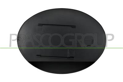 FUEL TANK FLAP-WITH PRIMER
