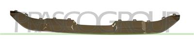 REAR BUMPER MOLDING-CENTRE-CHROME