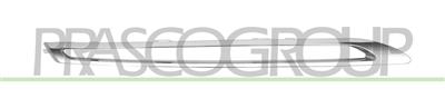 RADIATOR GRILLE MOLDING-RIGHT-LOWER-CHROME