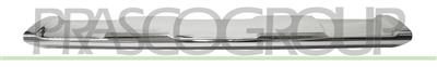 FRONT BUMPER MOLDING-CENTRE-LOWER-CHROME MOD. AMG