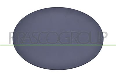 FUEL TANK FLAP-WITH PRIMER