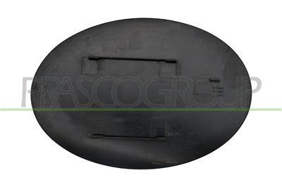 FUEL TANK FLAP-WITH PRIMER