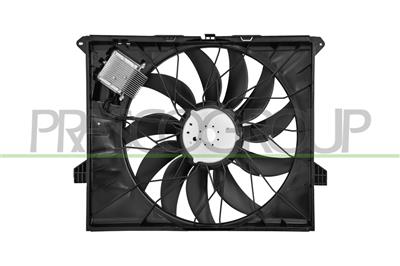 FAN