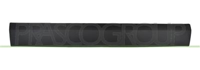 FRONT DOOR MOLDING LEFT-BLACK-TEXTURED FINISH
