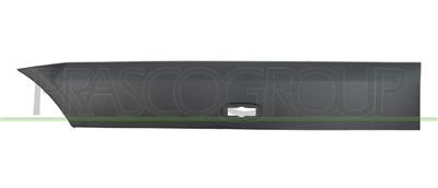 REAR SIDE MOULDING RIGHT-FRONT SIDE-BLACK-WITH POSITION LIGHT HOLE