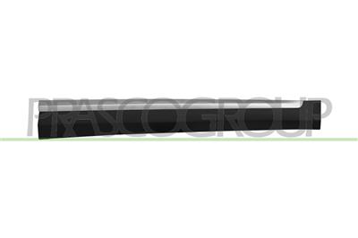 FRONT RIGHT DOOR SIDE MOLDING-LOWER-BLACK-TEXTURED FINISH