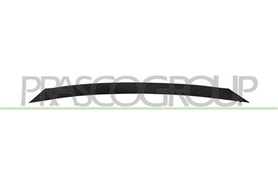 MOULURE DE GRILLE DE CALANDRE-CHROMEE