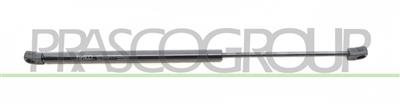 MOLLA A GAS DESTRA/SINISTRA PORTELLONE POSTERIORE - 330 N - L 495 mm - C 188 mm - Ø 18 mm - Ø 8 mm
