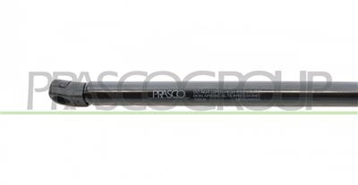 MOLLA A GAS DESTRA/SINISTRA PORTELLONE POSTERIORE - 330 N - L 495 mm - C 188 mm - Ø 18 mm - Ø 8 mm