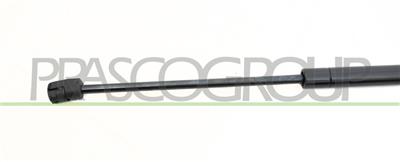 MOLLA A GAS DESTRA/SINISTRA PORTELLONE POSTERIORE - 330 N - L 495 mm - C 188 mm - Ø 18 mm - Ø 8 mm
