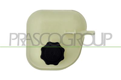 WATER EXPANSION TANK-WITH CAP