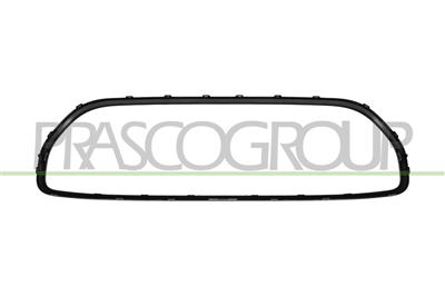 RADIATOR GRILLE FRAME-BLACK-GLOSSY