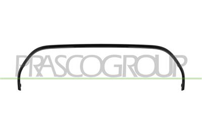 RADIATOR GRILLE MOLDING-UPPER-BLACK-GLOSSY