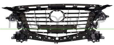 RADIATOR GRILLE-BLACK