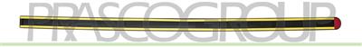FRONT DOOR MOLDING RIGHT-BLACK-TEXTURED FINISH-WITH DOUBLE SIDED TAPE MOD. 5 DOOR
