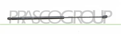 GASDRUCKFEDER HECKKLAPPE RECHTS/LINKS-240 N-L 603 mm-H 242 mm-Ï 18 mm-Ï 8 mm MOD. 3 TUERIG