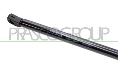 VERRIN DE HAYON A GAZ DROIT/GAUCHE - 270 N - L 602,5 mm - C 241,5 mm - Ø 18 mm - Ø 8 mm