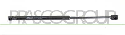 GASDRUCKFEDER HECKKLAPPE RECHTS UND LINKS-450 N-L 423 mm-H 170 mm-Ø 18 mm-Ø 8 mm