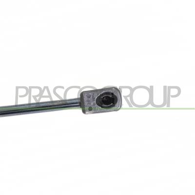 GASDRUCKFEDER HECKKLAPPE RECHTS UND LINKS-450 N-L 423 mm-H 170 mm-Ø 18 mm-Ø 8 mm