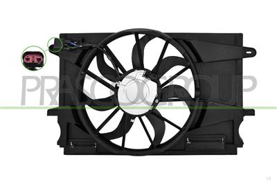 FAN