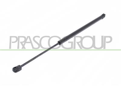 TAILGATE GAS SPRING RIGHT/LEFT - 590 N - L 542 mm - S 200 mm - Ø 18 mm - Ø 8 mm