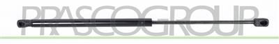 GASDRUCKFEDER HECKKLAPPE RECHTS UND LINKS-610 N-L 505 mm-H 210 mm-Ø 18 mm-Ø 8 mm