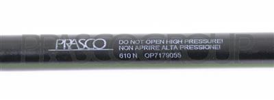 GASDRUCKFEDER HECKKLAPPE RECHTS UND LINKS-610 N-L 505 mm-H 210 mm-Ø 18 mm-Ø 8 mm