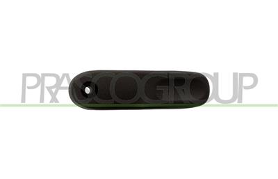 REAR SWING DOOR HANDLE-INNER-BLACK