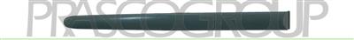 REAR DOOR MOLDING-RIGHT-BLACK-TEXTURED FINISH