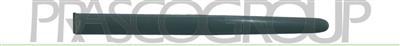 REAR DOOR MOLDING LEFT-BLACK-TEXTURED FINISH