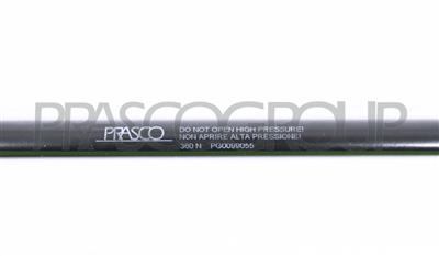 GASDRUCKFEDER HECKKLAPPE RECHTS UND LINKS-360 N-L 520 mm-H 203 mm-Ø 18 mm-Ø 8 mm
