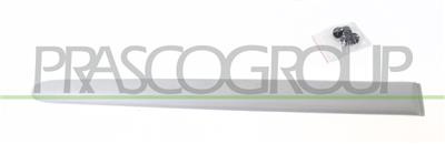 MODANATURA PORTA POSTERIORE DESTRA-GRIGIA-LISCIA MOD. 5 PORTE