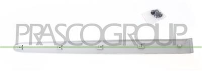 MODANATURA PORTA POSTERIORE DESTRA-GRIGIA-LISCIA MOD. 5 PORTE
