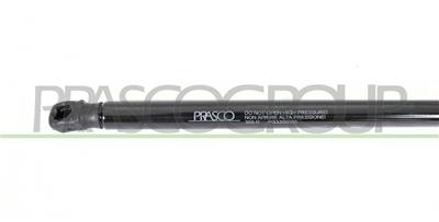 MOLLA A GAS DESTRA/SINISTRA PORTELLONE POSTERIORE - 355 N - L 507 mm - C 210 mm - Ø 18 mm - Ø 8 mm