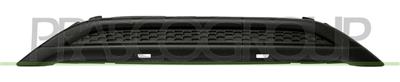 FRONT BUMPER MOLDING-CENTRE-BLACK